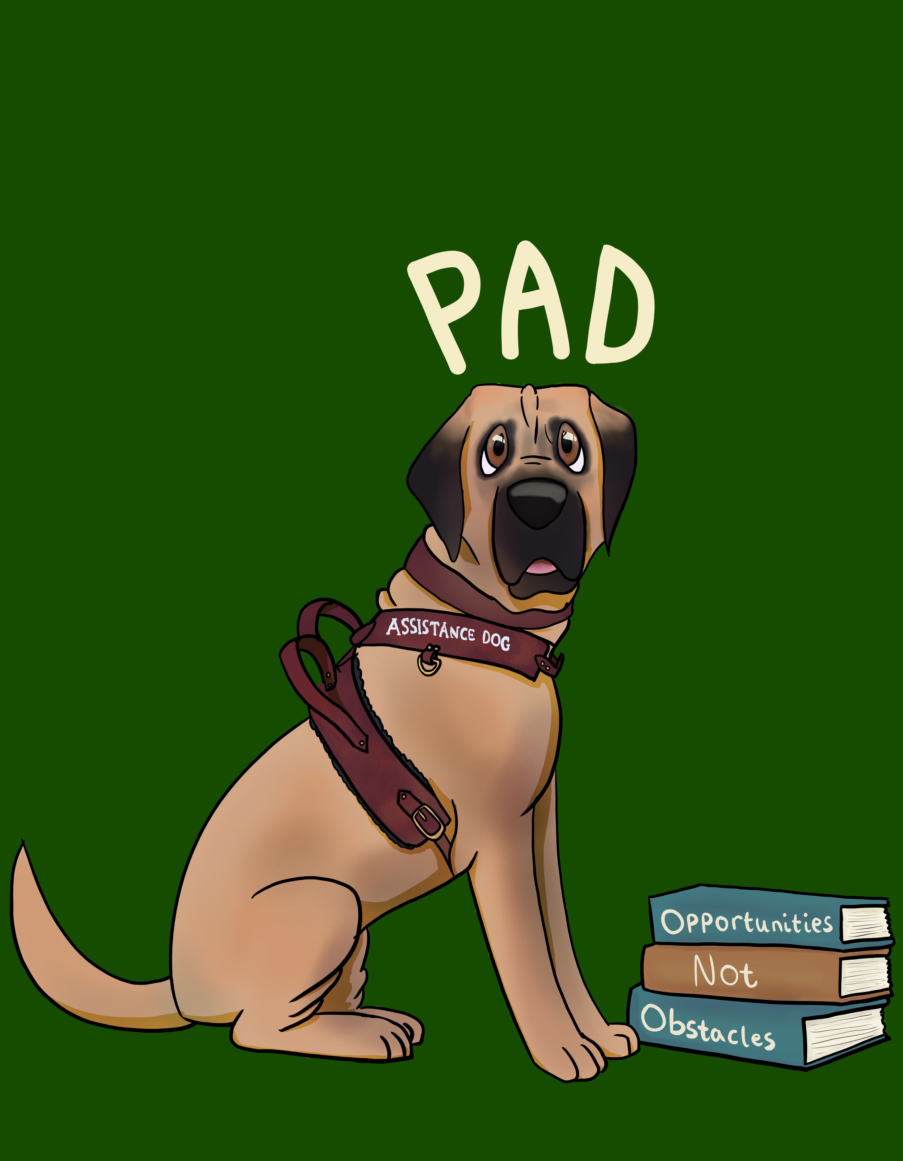 A large brown cartoon beorbel wearing a burgundyassistance dog harness. There is a stack of books to the right of him and he is on a dark green background with the text PAD above him.